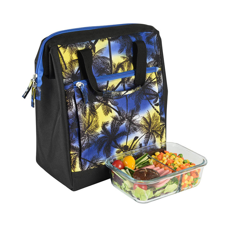 JS-CL-007L-Rashladna torba / torba za piknik